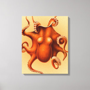 Octopus Zee Monster Creature Cephalapod  Canvas Afdruk
