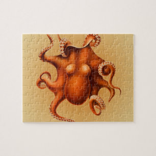 Octopus Zee Monster Creature Cephalapod Legpuzzel