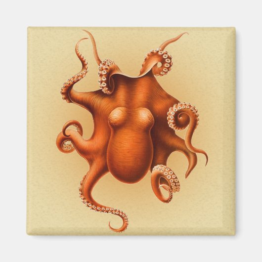 Octopus Zee Monster Creature Cephalapod  Magneet (Voorkant)