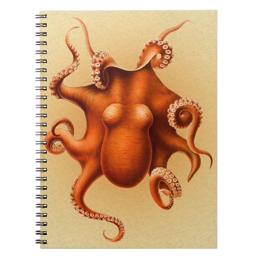 Octopus Zee Monster Creature Cephalapod  Notitieboek (Voorkant)