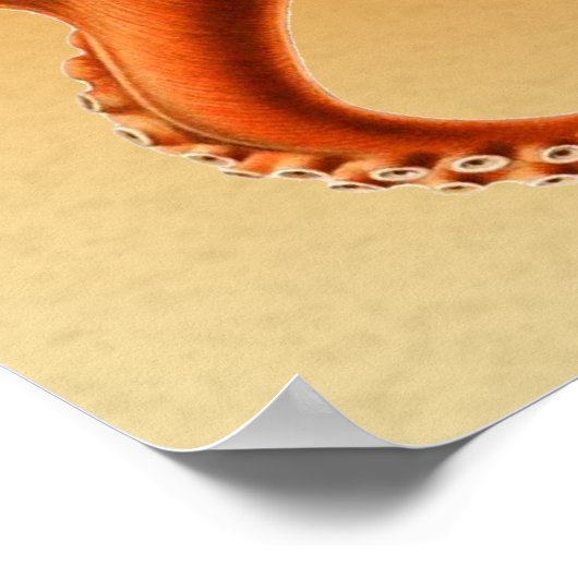 Octopus Zee Monster Creature Cephalapod Poster (Hoek)