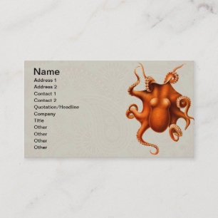 Octopus Zee Monster Creature Cephalapod Visitekaartje