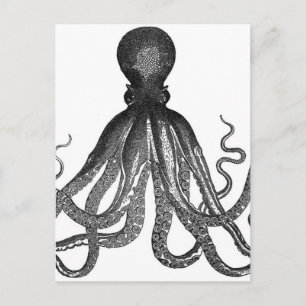 Octopus Zee Ocean Animal Briefkaart