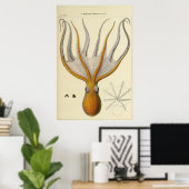 Octopus  Zoologische Schets Poster (Thuiskantoor)