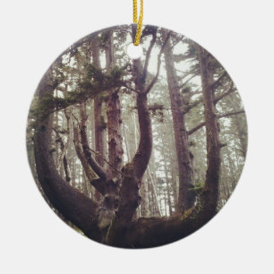 Octopusboom, Cape Meares, Oregon Keramisch Ornament