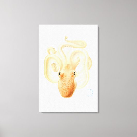 octopusdruk canvas afdruk (Voorkant)