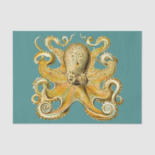octopustissuepapier tissuepapier (Voorkant)
