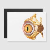 oculair (Voorkant / Achterkant)