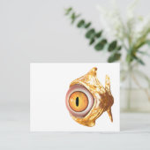 oculair briefkaart (Staand voorkant)