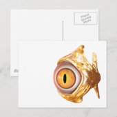 oculair briefkaart (Voorkant / Achterkant)