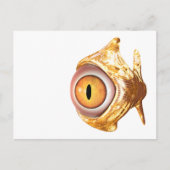 oculair briefkaart (Voorkant)