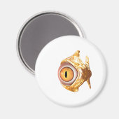 oculair magneet (Voorkant / Achterkant)