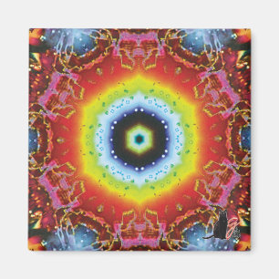 Oculus Kaleidoscope Magnet Magneet