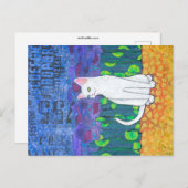 Odd Eyed White Cat Briefkaart (Voorkant / Achterkant)