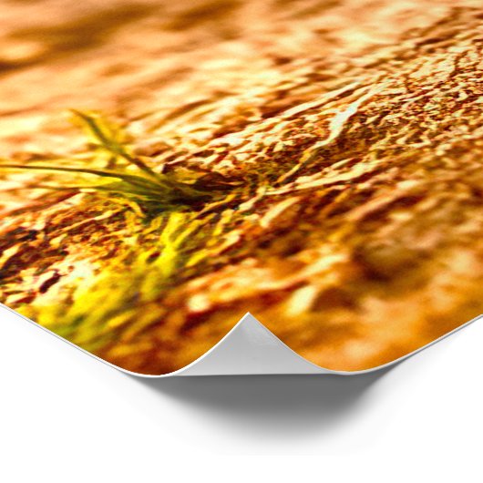 Odd Friends - Patchwork Cube Monster Poster (Coin)