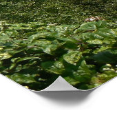 Oddicombe Bay, Torquay, Engeland Poster (Hoek)