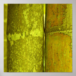 Ode naar Bamboo Poster