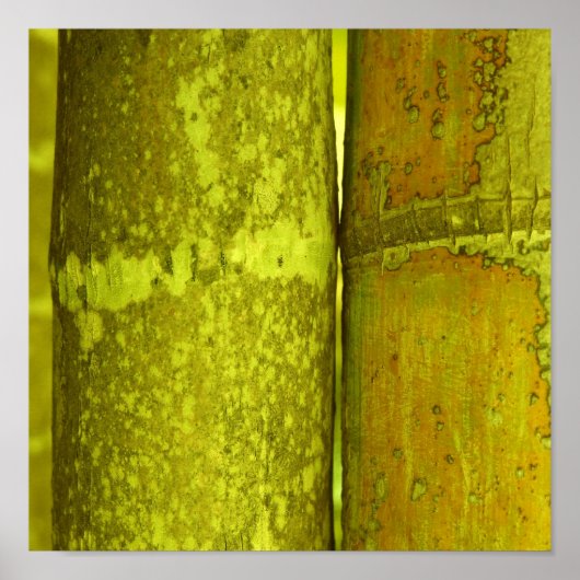 Ode naar Bamboo Poster (Voorkant)