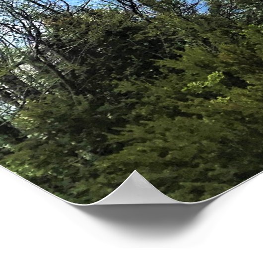 Odell Lake, OR Poster (Hoek)