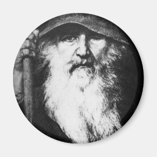 odin-3 magneet