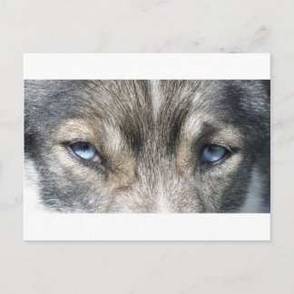 Odins Augen Briefkaart