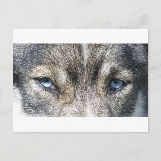 Odins Augen Briefkaart (Voorkant)