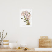 Odontoglossum crispum poster (Keuken)