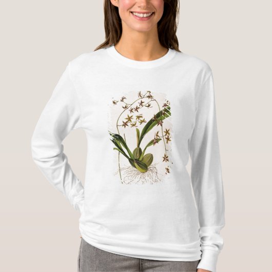 Odontoglossum Hastatum T-shirt (Voorkant)