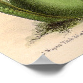  Odontoglossum Orchidee Flower Poster (Hoek)