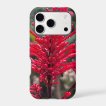 Odontonema voor iPhone17 pro hoes