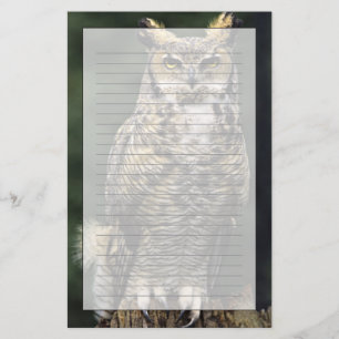 Oehoe (Bubo virginianus), volledig lichaam Briefpapier