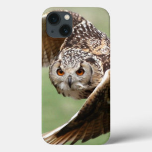 Oehoe in vlucht iPhone 13 hoesje