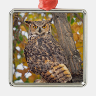 Oehoe Metalen Ornament