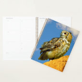 Oehoe Planner (Display)
