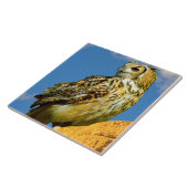 Oehoe Tegeltje (Zijkant)