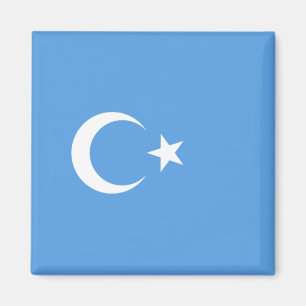 Oeigoerse vlag van Oost-Turkistan (Oeigoer) Magneet