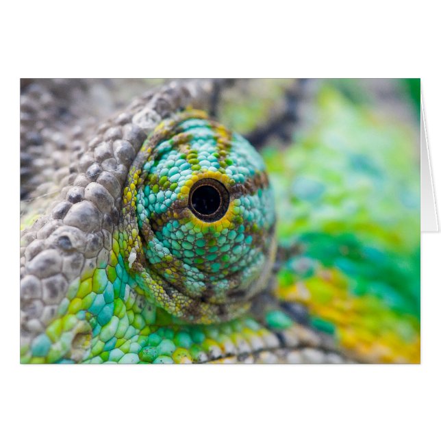 Oeil Chameleon (Devant horizontal)