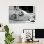 Oeil coloré, poster chaton à poupée (Bureau à domicile)