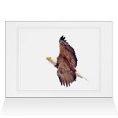 Oeil d'aigle chauve vers le ciel (Intérieur Horizontal (Haut))