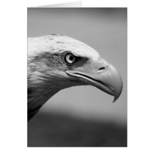 Oeil d'aigle noir et blanc