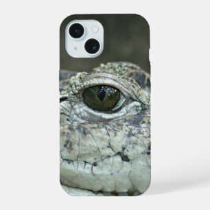 Oeil de crocodile