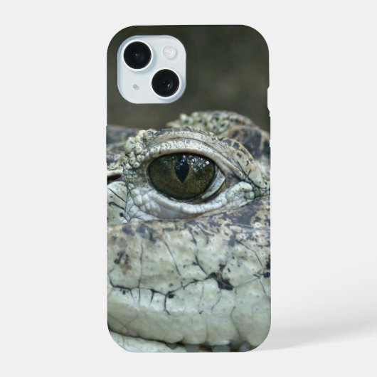 Oeil de crocodile (Verso)