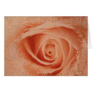 Oeil de la carte Rose