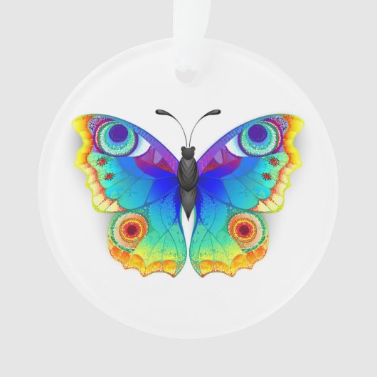 Oeil de paon arc-en-ciel (devant)