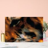 Œil de Tigre Doré Gros Plan Faune (Mariage)