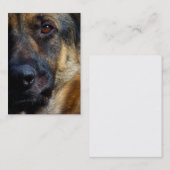 Oeil des cartes de visite de berger (Devant / Derrière)