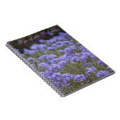 OEil du Carnet du titulaire (Côté Droit)