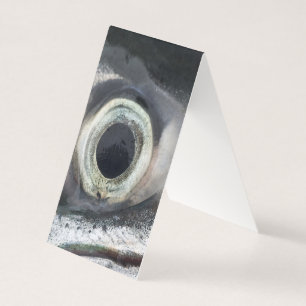 Oeil saumon