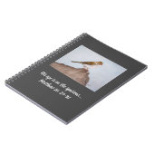 Oeil sur le Carnet du Bruant (Côté gauche)