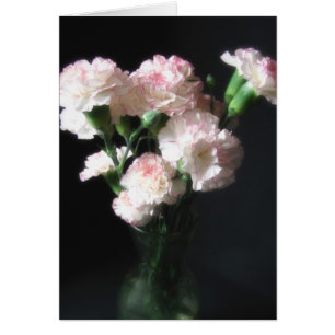 Oeillets presque blancs 2